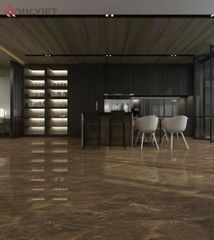 Gạch Viglacera 60x120 ECO-D61204