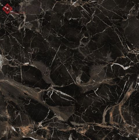 Gạch Viglacera 80x80 ECO-D801