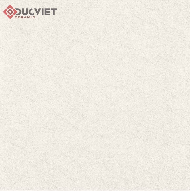 Gạch Viglacera 60x60 ECO M601