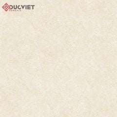 Gạch Viglacera 60x60 ECO M621