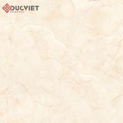 Gạch Viglacera 60x60 ECO S609