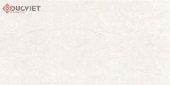 Gạch Viglacera 30x60 F3601