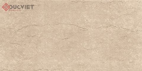 Gạch Viglacera 30x60 F3602