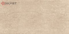 Gạch Viglacera 30x60 F3602