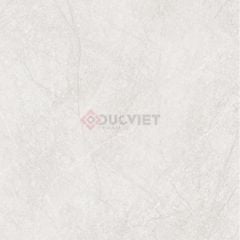 Gạch Viglacera 100x100 CL52-9GP101001