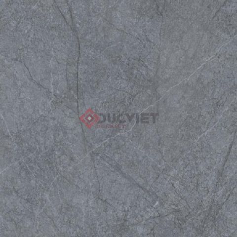 Gạch Viglacera 100x100 CL52-9GP101003