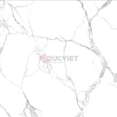 Gạch Viglacera 100x100 CL51-9GP101001
