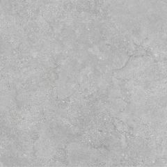 Gạch Taicera G88P17JW 80x80