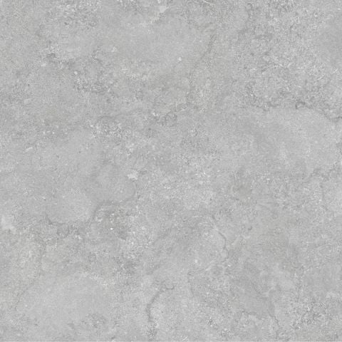 Gạch Taicera G88P17JW 80x80