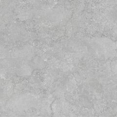 Gạch Taicera G88P17JW 80x80