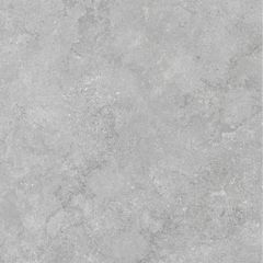 Gạch Taicera G88P17JW 80x80