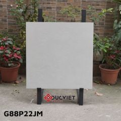 Gạch Taicera G88P22JM 80x80