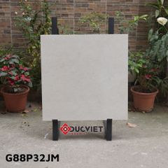 Gạch Taicera G88P32JM 80x80