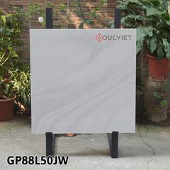 Gạch Taicera G88L50JW 80x80