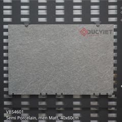 Gạch lát sân vườn Viglacera 40x60 VBS4601