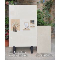 Gạch Viglacera 40x80  CL-GP 4805