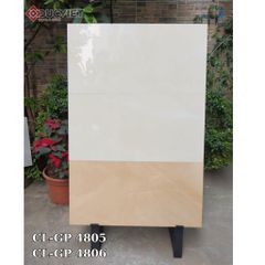 Gạch Viglacera 40x80  CL-GP 4806