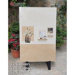 Gạch Viglacera 40x80  CL-GP 4805