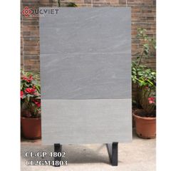 Gạch Viglacera 40x80  CL-GP 4802