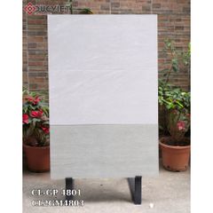 Gạch Viglacera 40x80  CL-GP 4801