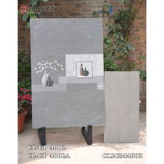 Gạch Viglacera 40x80  CL-GP 4802