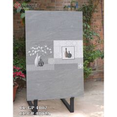 Gạch Viglacera 40x80  CL-GP 4802