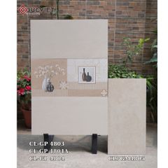 Gạch Viglacera 40x80  CL-GP 4803