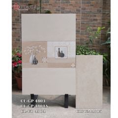 Gạch Viglacera 40x80  CL-GP 4804