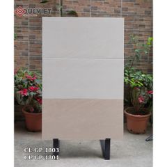 Gạch Viglacera 40x80  CL-GP 4803