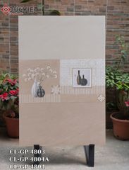 Gạch Viglacera 40x80  CL-GP 4803