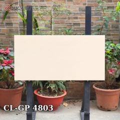 Nhân bản từ Gạch Viglacera 40x80  CL-GP 4803