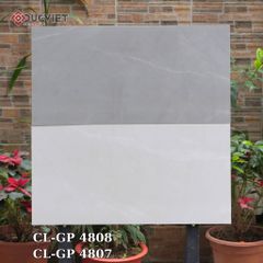 Gạch Viglacera 40x80  CL-GP 4808
