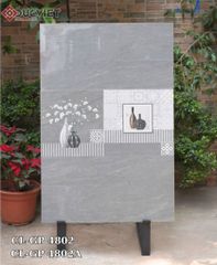 Gạch Viglacera 40x80  CL-GP 4802