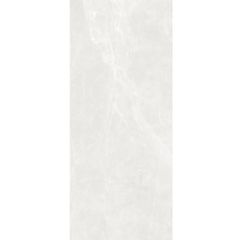 Gạch Eurotile Armani Charcoal(ARC09E-DP) 120x280