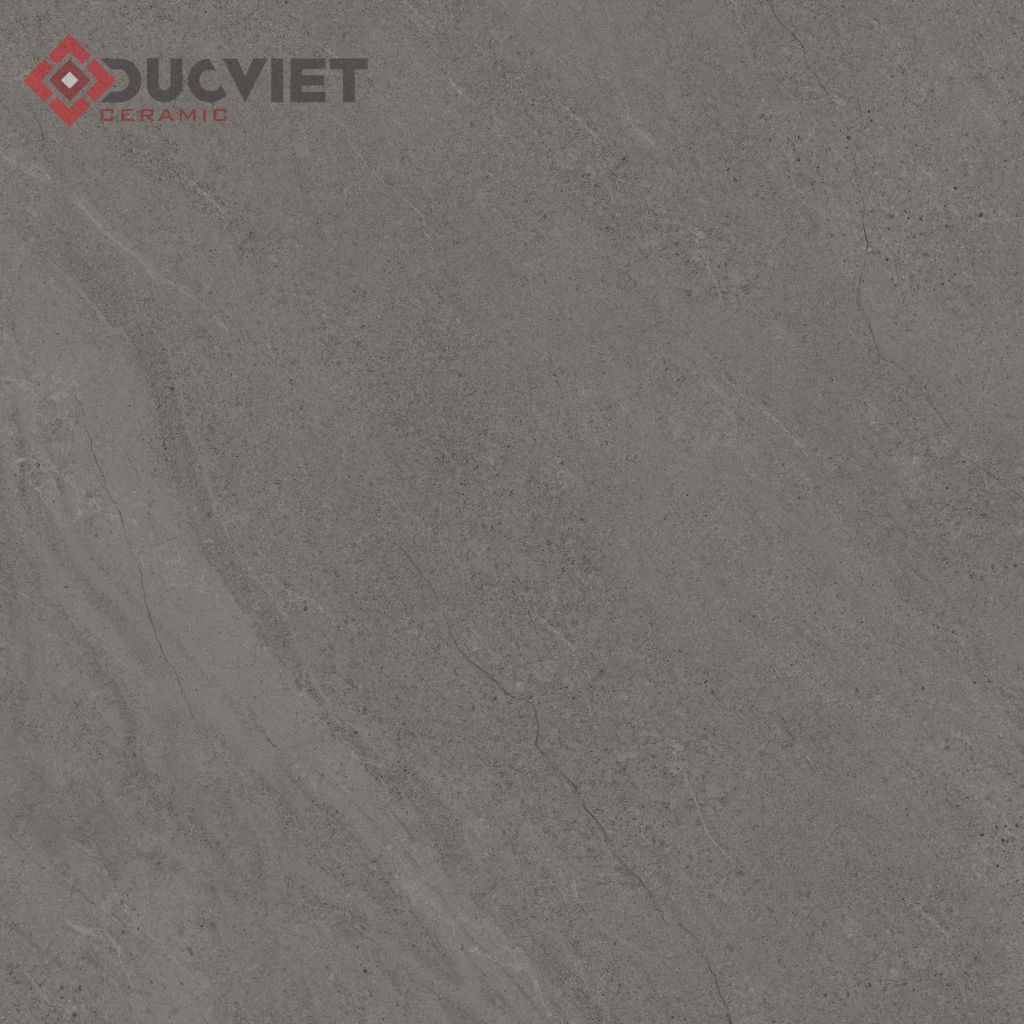 Gạch Viglacera 80x80 HM806