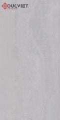 Gạch HOA Q01 Eurotile 60x120