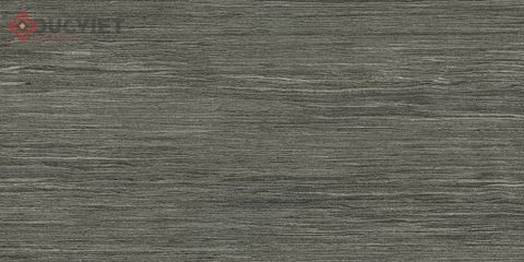 Gạch Viglacera 30x60 KT3608