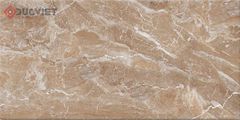 Gạch Viglacera 30x60 KT3632
