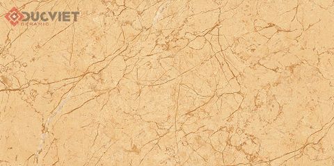 Gạch Viglacera 30x60 KT3642