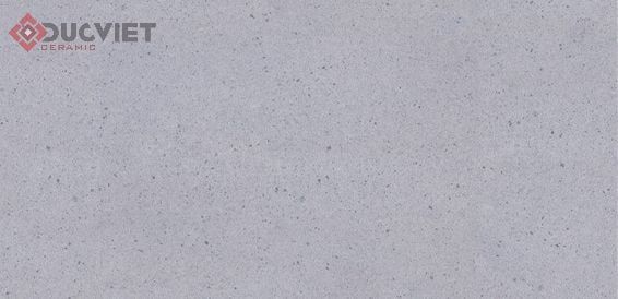 Gạch Viglacera 30x60 KT3682