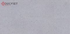 Gạch Viglacera 30x60 KT3682