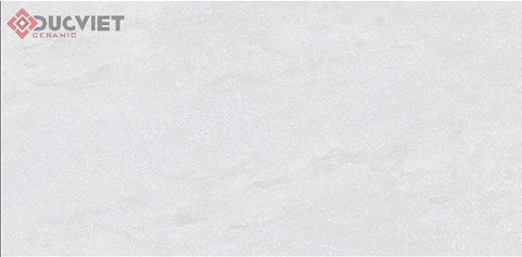 Gạch Viglacera 30x60 KT3685
