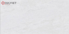 Gạch Viglacera 30x60 KT3685