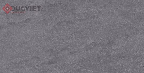 Gạch Viglacera 30x60 KT3686