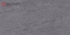 Gạch Viglacera 30x60 KT3686
