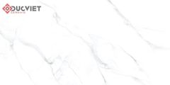 Gạch Viglacera 30x60 KT3927