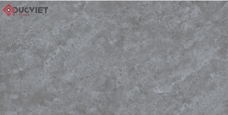 Gạch Viglacera 30x60 KTM3978