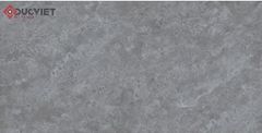 Gạch Viglacera 30x60 KTM3978