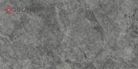 Gạch Viglacera 30x60 KV-GP3602