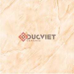 Gạch Viglacera 30x30 N307